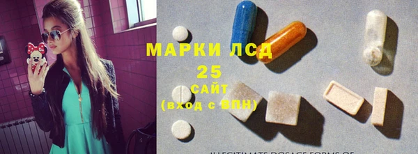 дмт Краснослободск