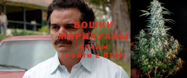 индика Краснотурьинск