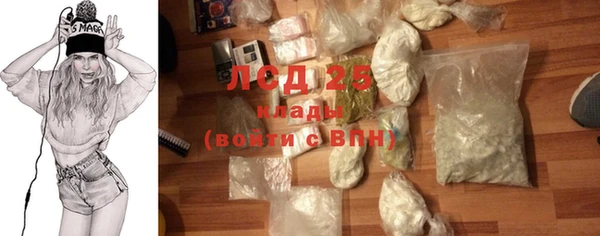 индика Краснотурьинск