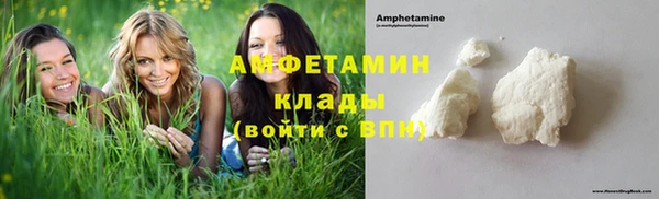 дмт Краснослободск