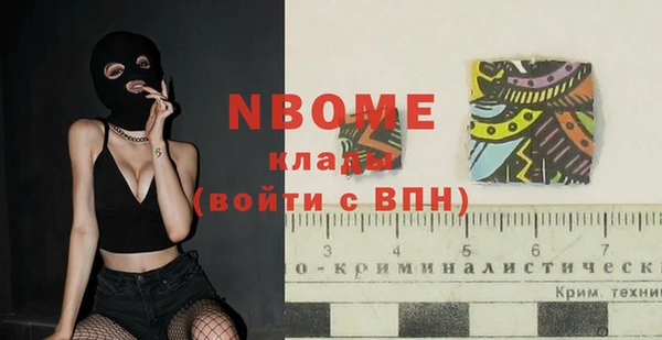 индика Краснотурьинск