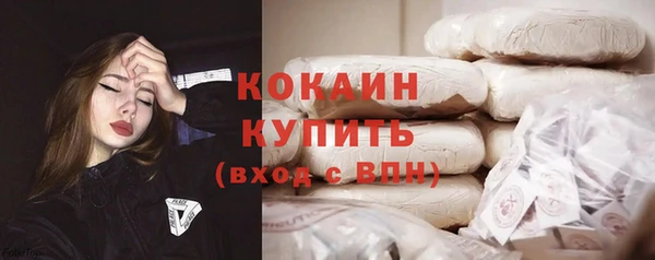 индика Краснотурьинск