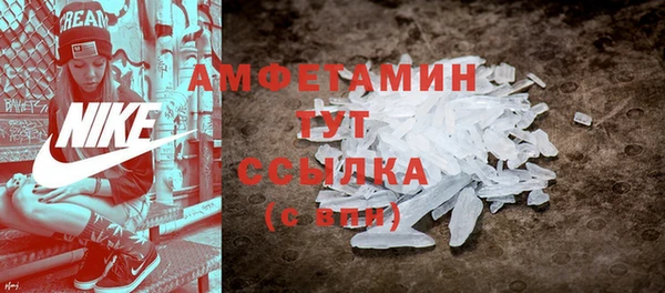 дмт Краснослободск