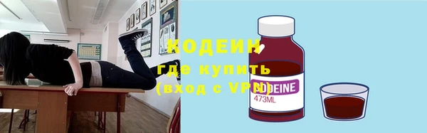индика Краснотурьинск