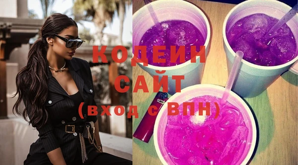 индика Краснотурьинск