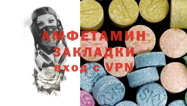 дмт Краснослободск