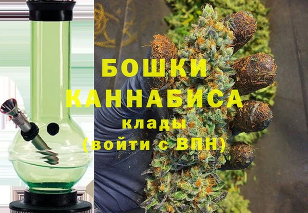 индика Краснотурьинск