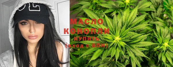 индика Краснотурьинск