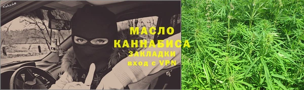 индика Краснотурьинск