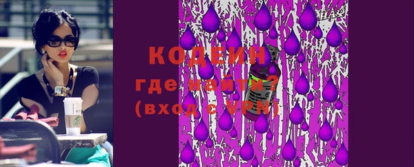индика Краснотурьинск