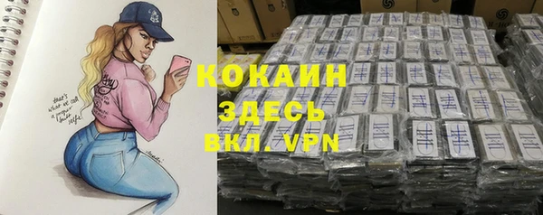 дмт Краснослободск
