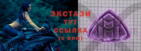 дмт Краснослободск