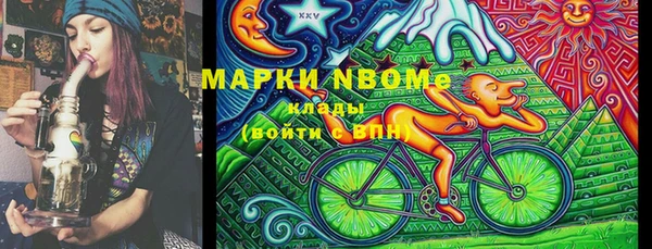 дмт Краснослободск
