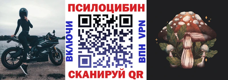 наркота  Северск  Псилоцибиновые грибы прущие грибы 