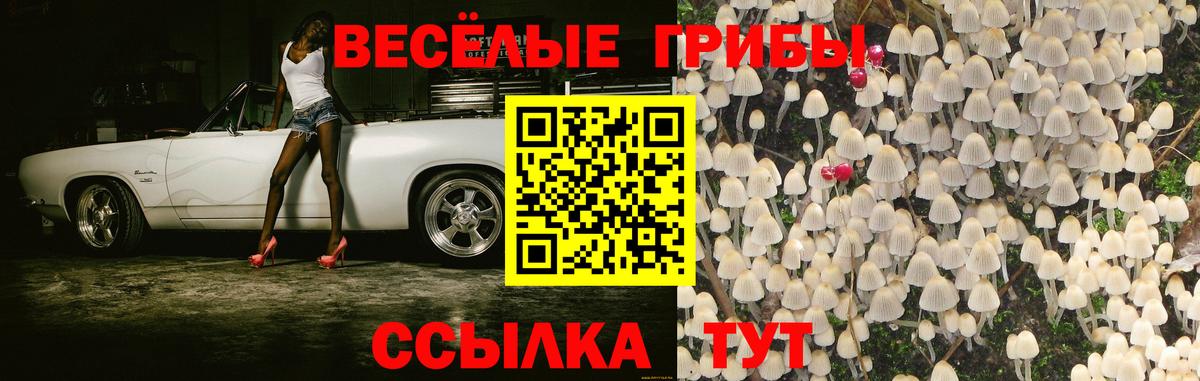 Галлюциногенные грибы MAGIC MUSHROOMS  что такое наркотик  Галлюциногенные грибы GOLDEN TEACHER  Северск  Вход с VPN 