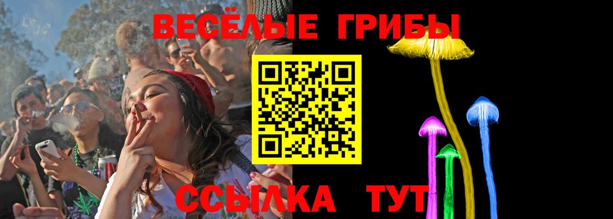 Галлюциногенные грибы Psilocybe Северск